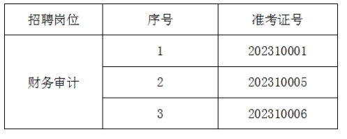 泰安市泰山城建投資有限公司面試人選資格復(fù)審公告